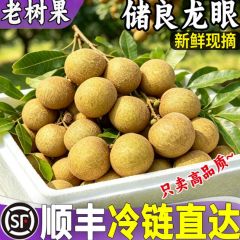 顺丰现货龙眼新鲜水果广东储良石硖鲜桂圆当季甜整箱5斤9斤礼盒装