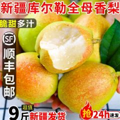 新疆库尔勒香梨全母梨子新鲜孕妇水果整箱9斤精选旗舰店包邮直发